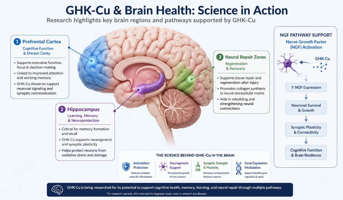 GHK-Cu Peptide Benefits